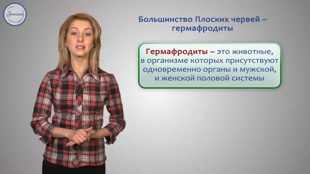 Тип Плоские черви смотреть онлайн