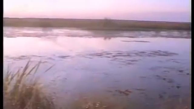 Соловьиный напев смотреть онлайн
