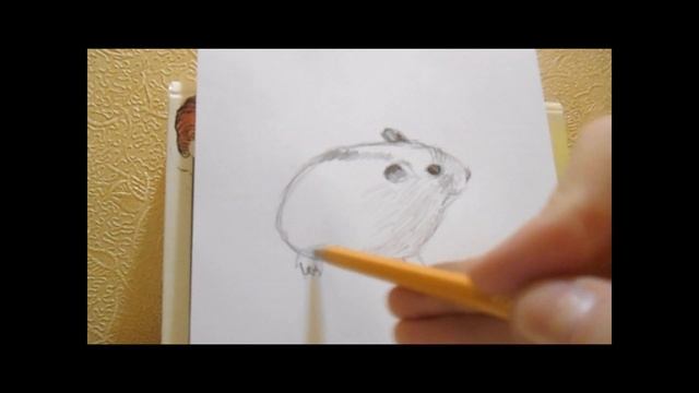 Рисую джунгарского хомяка смотреть онлайн