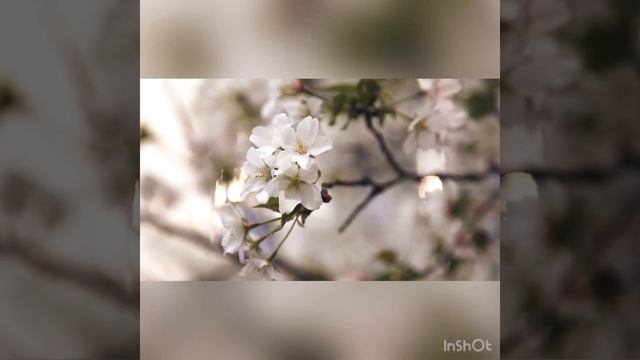 Если мы учимся с помощью ошибок, почему боимся из совершать? смотреть онлайн