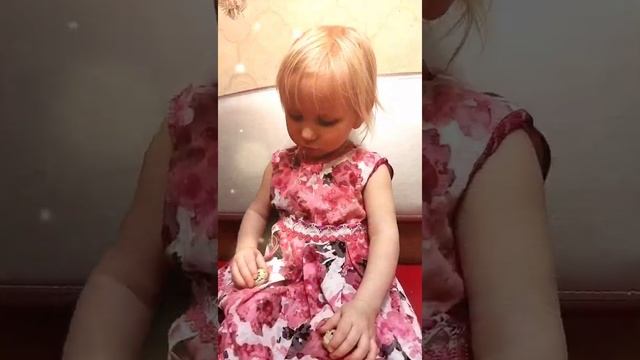 Перепелки из магазинных яиц начали нестись)) смотреть онлайн