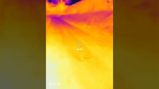 FLIR ONE PRO for ios on my iPhone 12 Pro Max out straight from the box near Bridlington смотреть онлайн