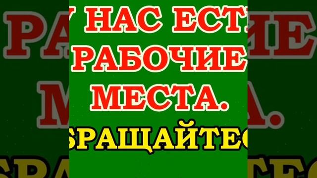 Работа вахтовым методом в Москве и Московской области от Прямого Работодателя смотреть онлайн