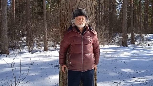Энергетическая зарядка от деревьев смотреть онлайн