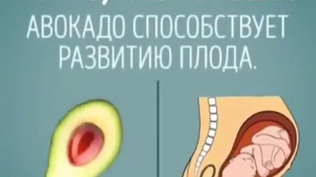 Полезные овощи фрукты ягоды орехи смотреть онлайн