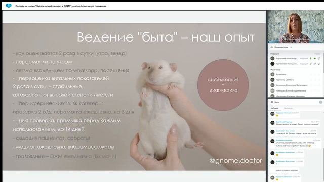 Экзотический пациент в ОРИТ, лектор Александра Корзунова смотреть онлайн