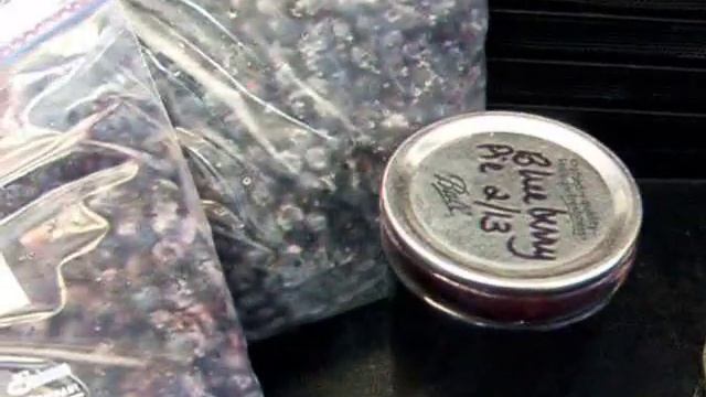 A trick for Dehydrating Blueberries смотреть онлайн