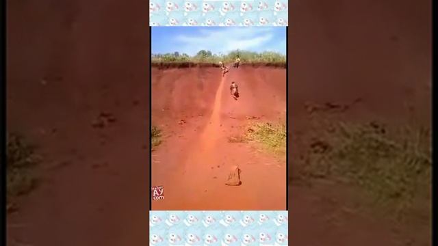Классное развлечение для мальчишек - кататься на попке! смотреть онлайн