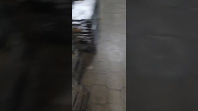 saqlangan gullar смотреть онлайн