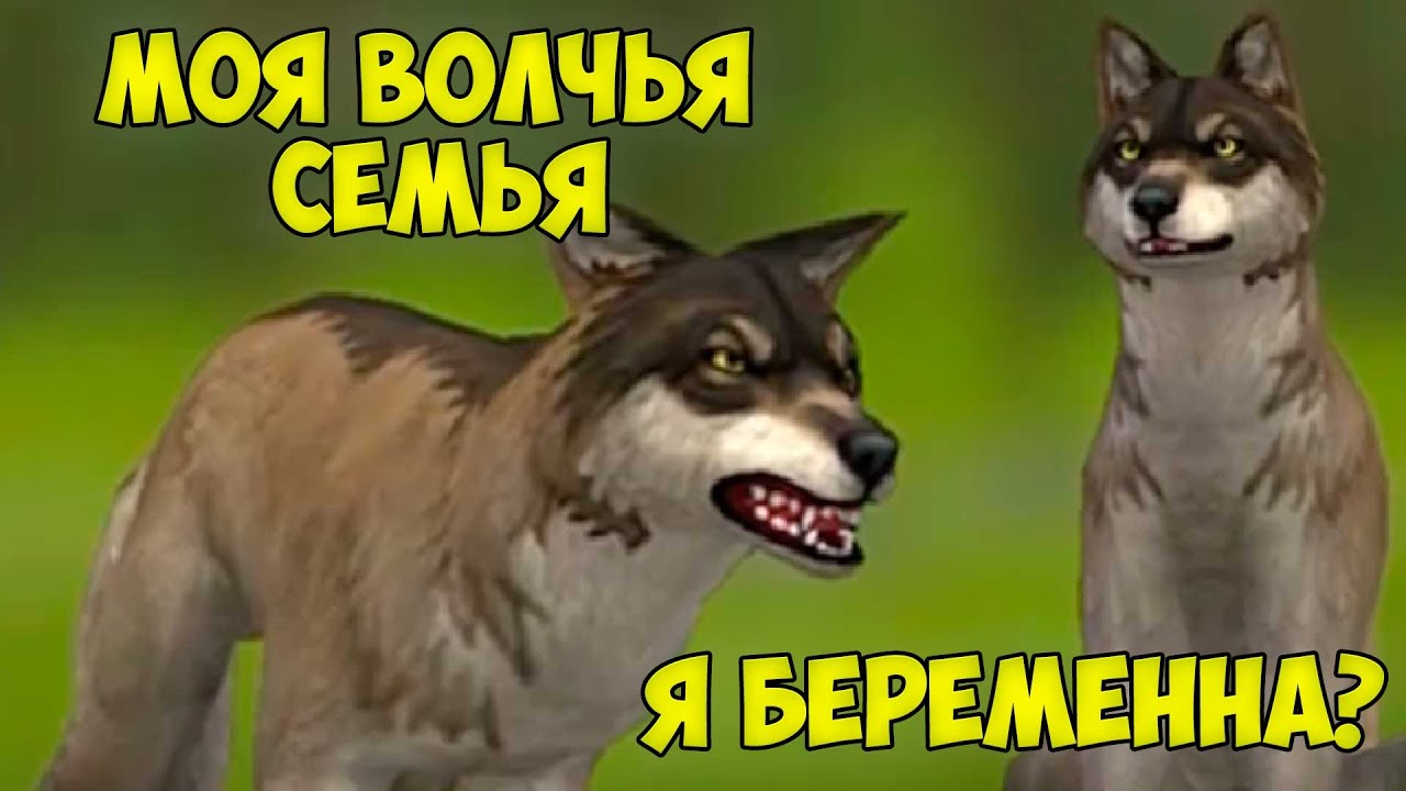 СИМУЛЯТОР жизни ЗВЕРЕЙ - Я беременный ВОЛК в вайлд крафт #1 смотреть онлайн