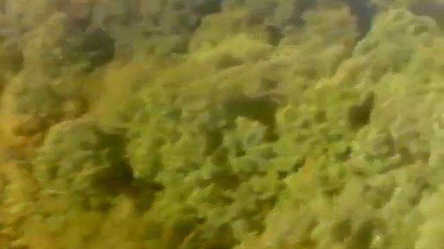 Never Filmed Before. US Army Training Elite Soldiers смотреть онлайн