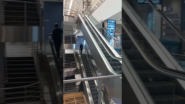 Аэропорт  Домодедово.