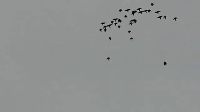19.01.20г Дербент смотреть онлайн