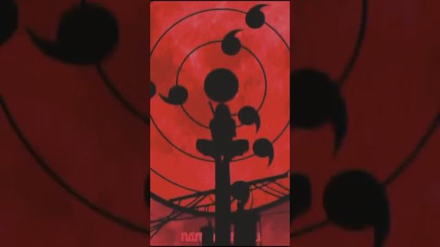 nam_animaru обои на телефон из тик тока смотреть онлайн