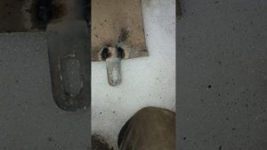 Ремонт крепления защиты двигателя и КПП на Калине