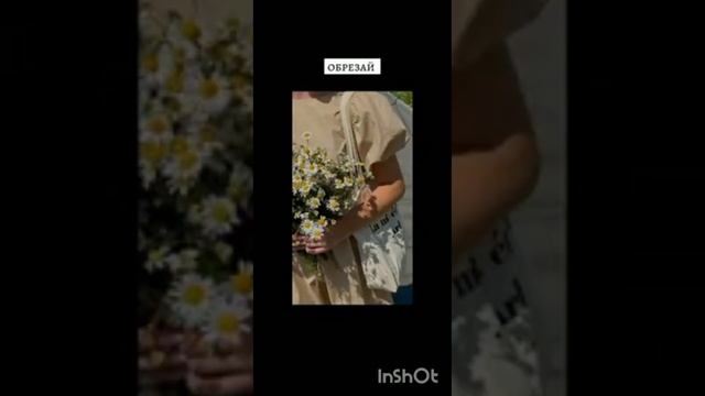 Эстетичные обои на телефон смотреть онлайн