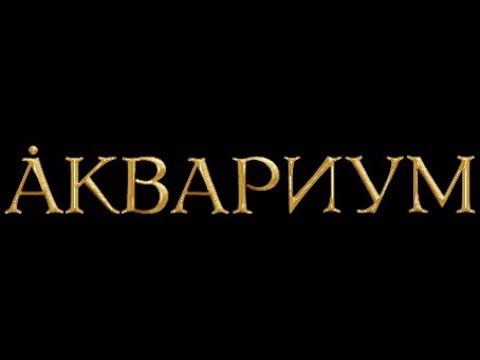 Концерт Бориса Гребенщикова и группы Аквариум в ТРЦ GALAXY Барнаул 26 марта 2019 года