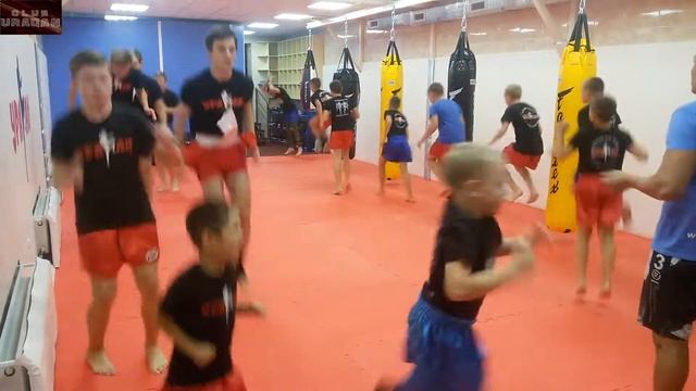 Тренировка в Бойцовском Клубе Ураган. Секция кикбоксинга в Орле. смотреть онлайн