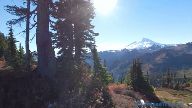 Mount Baker VR Paradise - scenic views at Artist Point | Episode 06 AUTO-PAN | 360 VR Road Trip смотреть онлайн