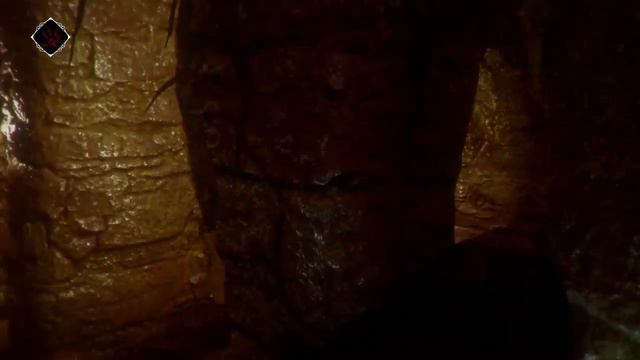 МЫШЬ-ГРИБНИК И ПЧЕЛОВОД • GHOST OF A TALE #4 смотреть онлайн