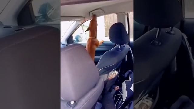 О нет смотреть онлайн