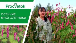 ЦВЕТЫ-ДЕРЕВЬЯ всегда в центре внимания! Самые яркие осенние цветы в саду