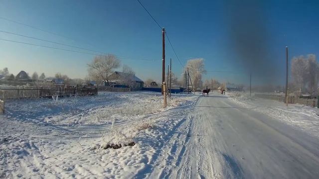 Обучение дикой лошади - Алтай! Бреусов Сергей смотреть онлайн