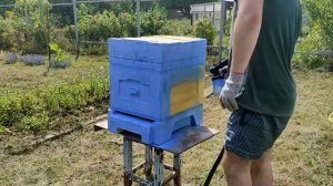 Красим улей резиновой краской! Чем красить ульи?