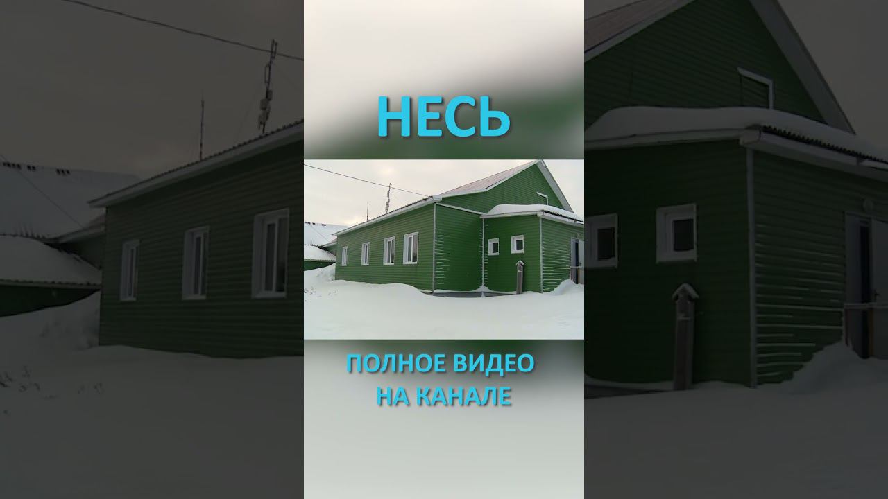 НЕСЬ SHORTS #SHORTS смотреть онлайн