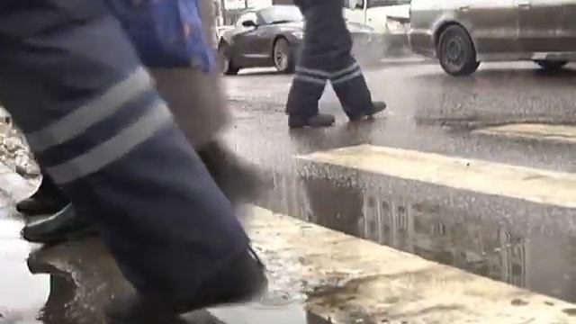 Зебра в Королеве смотреть онлайн
