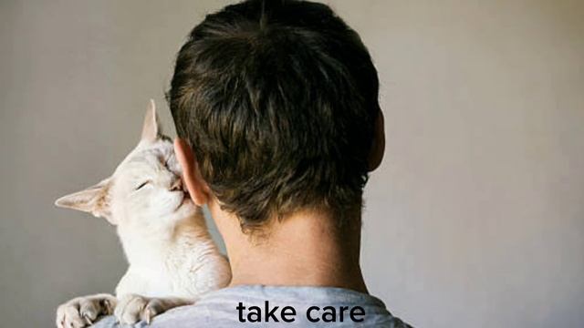 cat in blender video twitter full video #viralvideo#meow#catviral #blendercatfullvideo #catinblinde смотреть онлайн