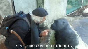 Limbus Company. Точно Не Проплаченный Обзор™