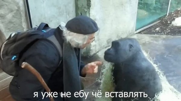 Limbus Company. Точно Не Проплаченный Обзор™