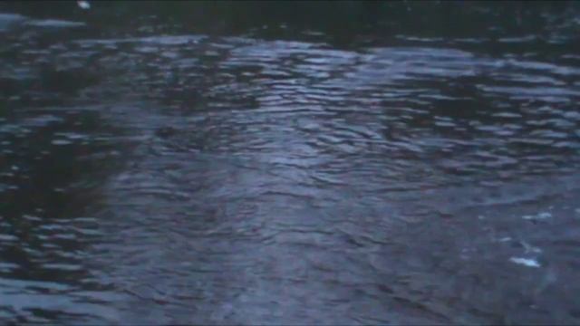 Охота,Рыбалка,Отдых на природе.Трейлер канала!