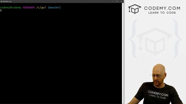 Build a Geography Flashcard App Part 2 - Add Images - Python Tkinter GUI Tutorial 53 смотреть онлайн