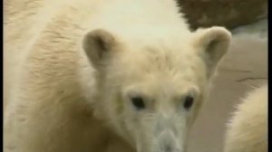 Санкт-Петербург Путешествия натуралиста