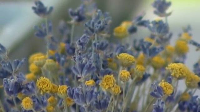 Highland Springs Resort смотреть онлайн