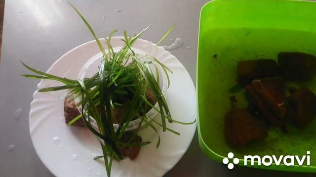 Как сделать подложку для аквариумных растений. ? ? ? смотреть онлайн