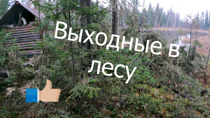 ТАЙГА. ВЫХОДНЫЕ В ТАЙГЕ. ТАЕЖНЫЙ БЫТ.