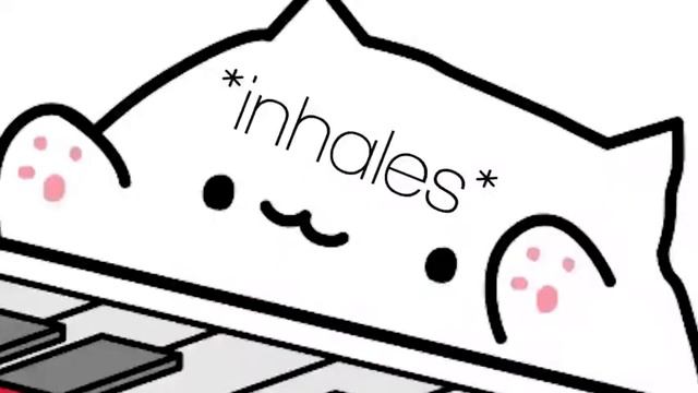 eden bongo cat смотреть онлайн