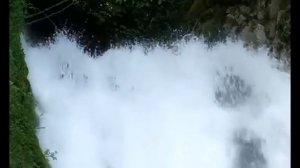 Христианское поклонение и прославление. Сборник № 1