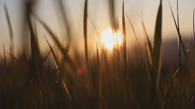 [Relax] расслабляющая музыка для сна и снятия стресса смотреть онлайн