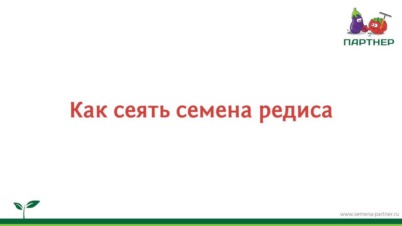 Как сеять семена редиса смотреть онлайн