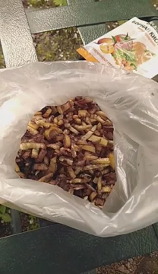 МУРАВЬИ уйдут, убегут!!! Готовим подкормку для муравьев. смотреть онлайн