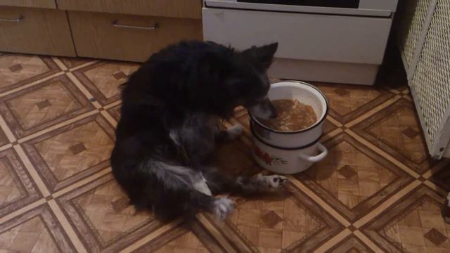 Чапа кушает смотреть онлайн