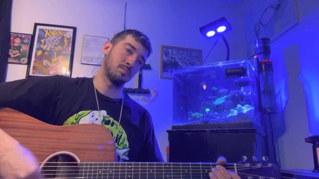 Blink 182 - Dumpweed (Acoustic) cover // lyrics and chords смотреть онлайн