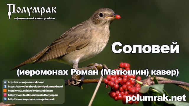 Соловей (иеромонах Роман (Матюшин) кавер) - Полумрак смотреть онлайн