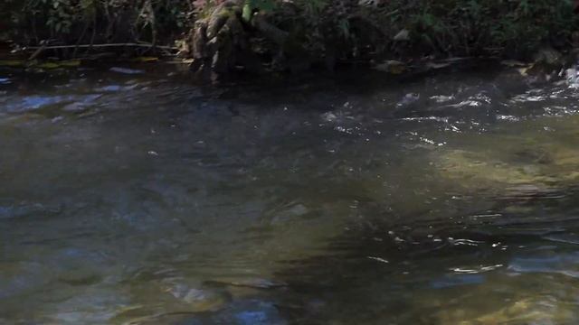 Sony Alpha 3000 Video I. (HD, 25p, MP4)