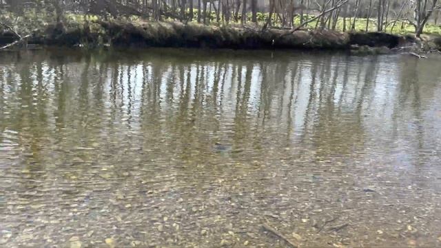 Активный клев кунджи на красивой горной реке #сахалин #рыбалка #туризм #спиннинг смотреть онлайн