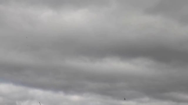Ноябрьск 2012 Полет Русских Витязей смотреть онлайн